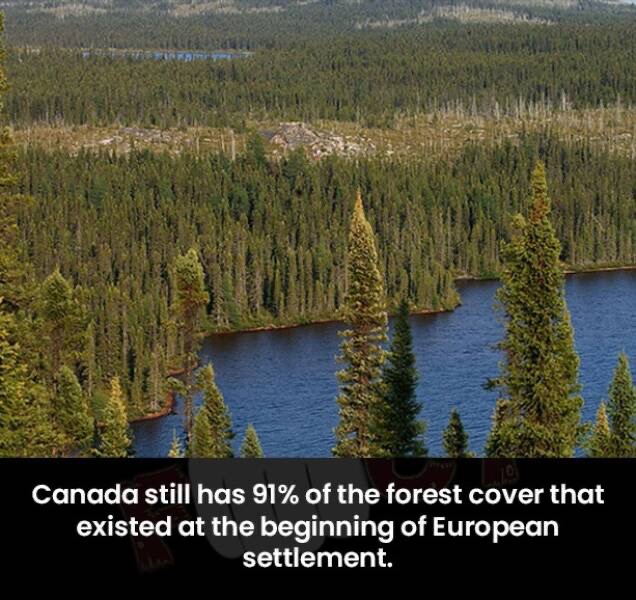 Image 139.jpg