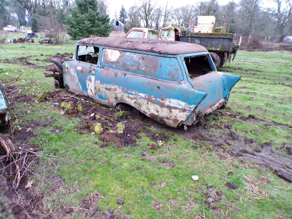 Image 146.jpeg
