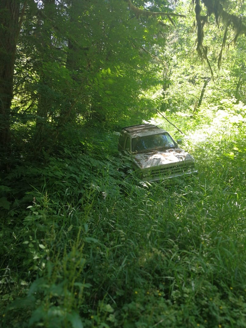 Image 15.jpeg