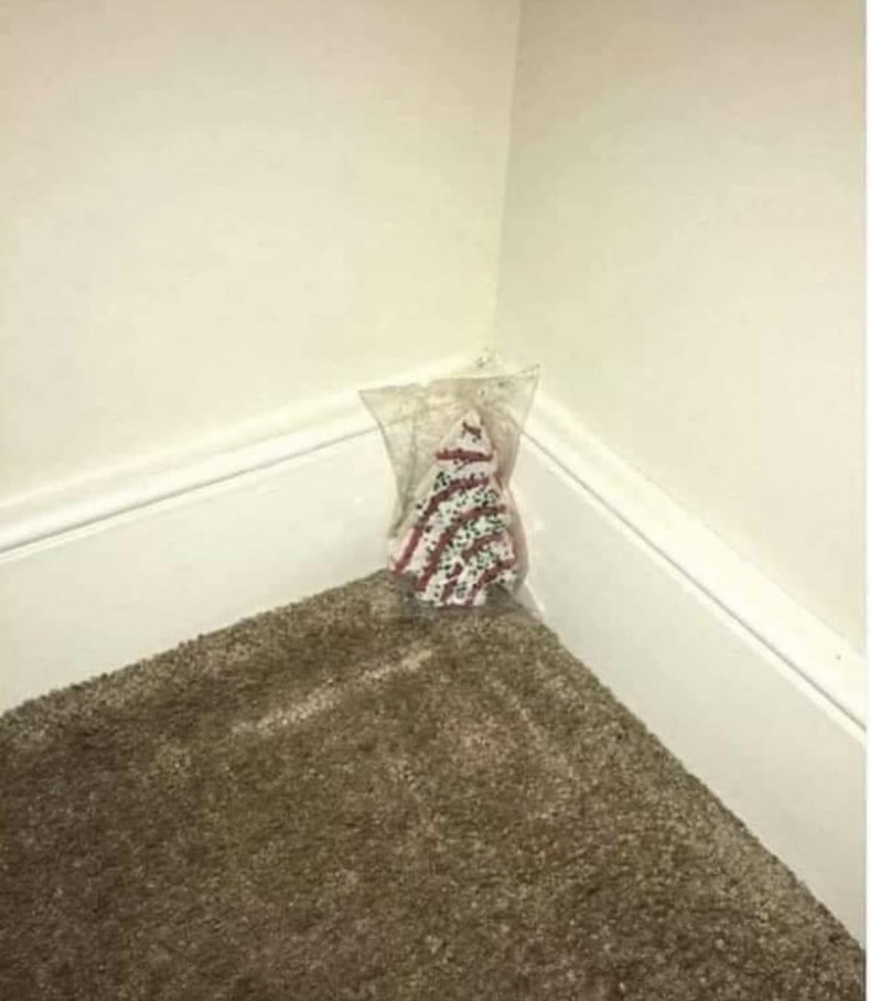 Image 18.jpeg