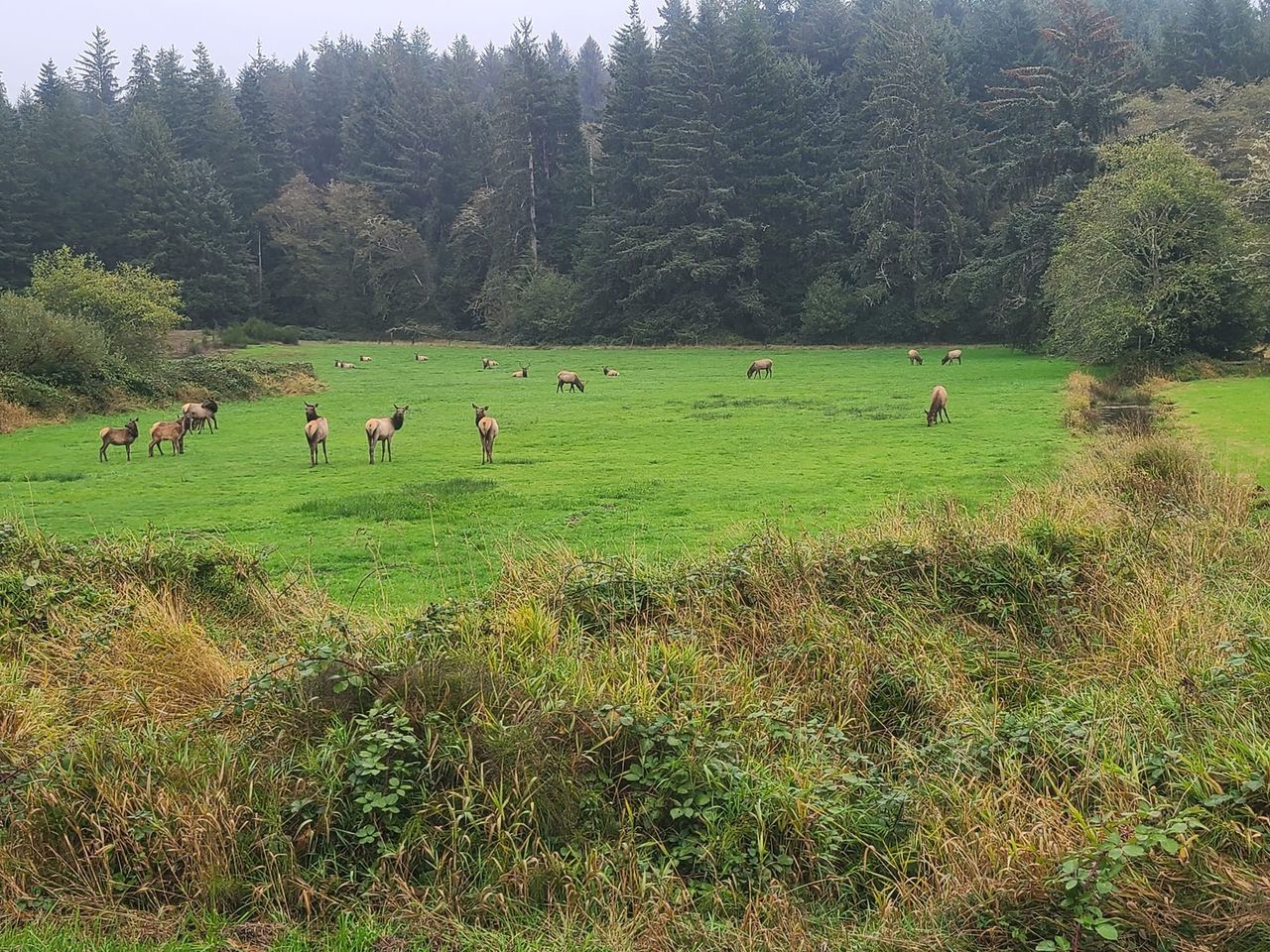 Image 22.jpeg