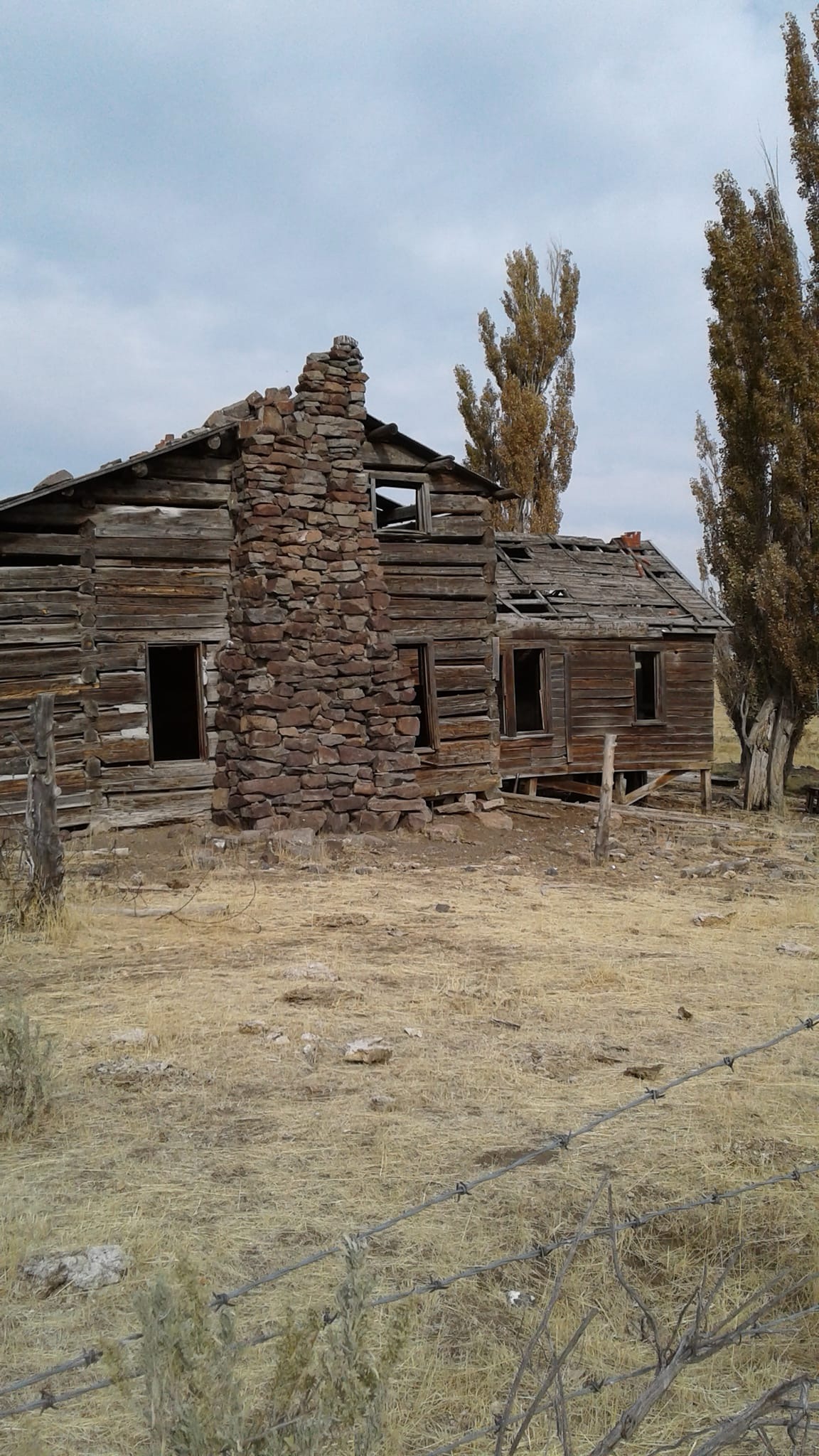 Image 5.jpeg