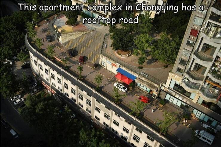 Image 51.jpg