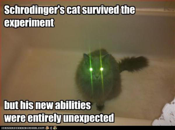 image(53).jpeg