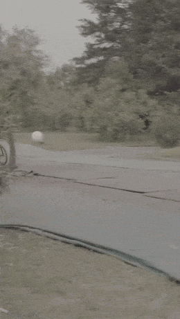 image.gif