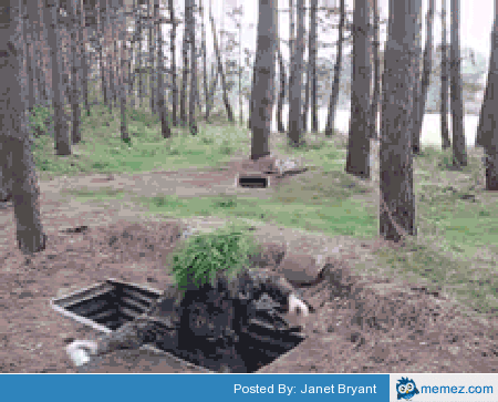 image.gif