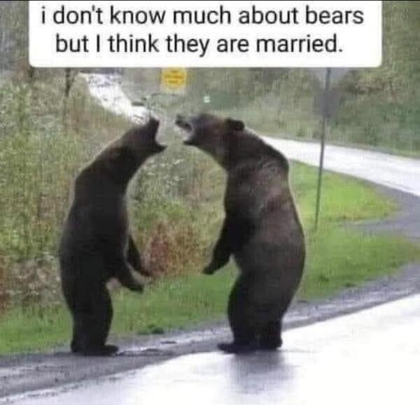 image.jpeg.9bedea01d404b9fd4d3e9f9e1ff7efd0.jpeg