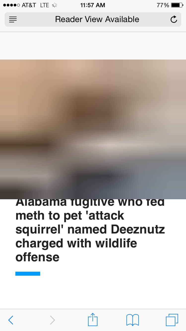 image.jpg