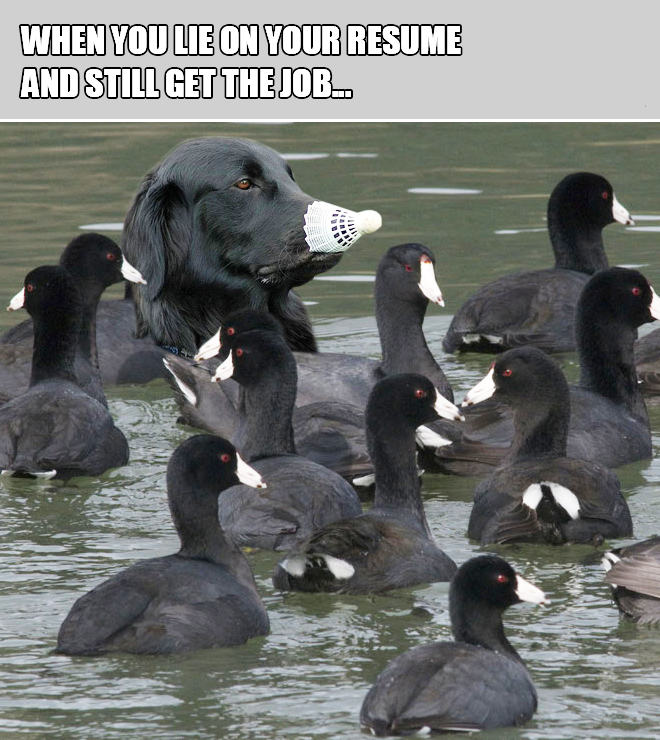 image.png.ebbdcfc2e77c01813dd2a67af620dc47.png