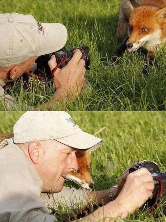 image.thumb.jpeg.88064f0386d50eba1e4f02d41d0b641c.jpeg