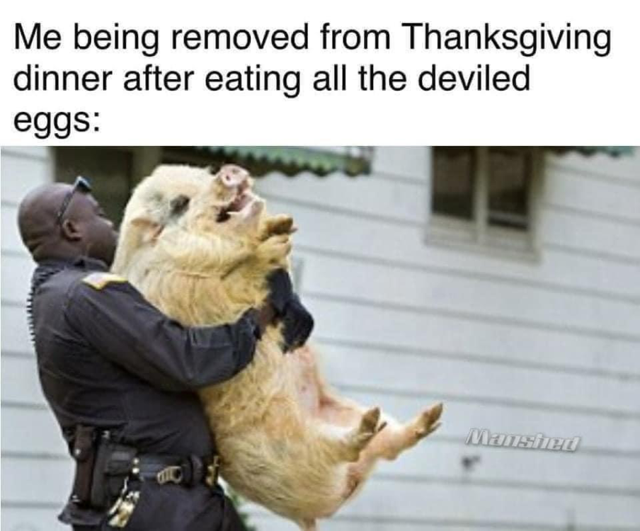 image.thumb.png.04d2adbf5f171a7a7bcc372a88331eb0.png