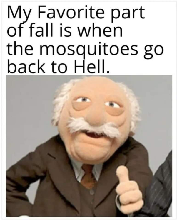 image.thumb.png.3199c439dcf0bdd7e6f87ca0ae90d542.png