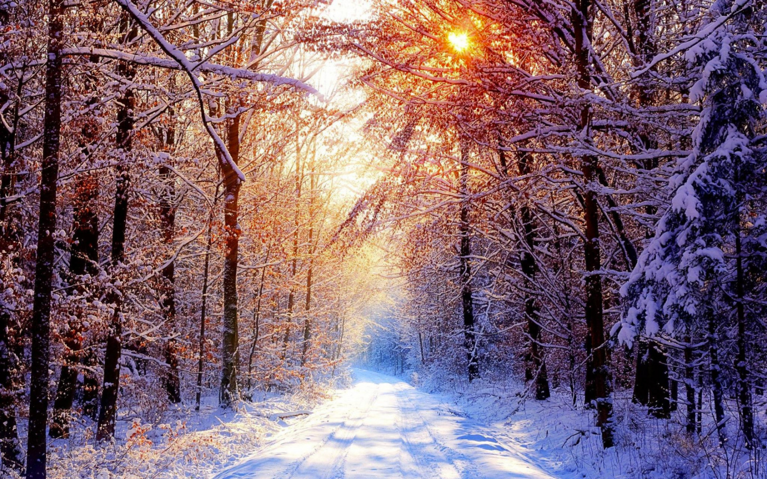 image.thumb.png.727b3849ec98a9a421a8ecf205e2f51b.png