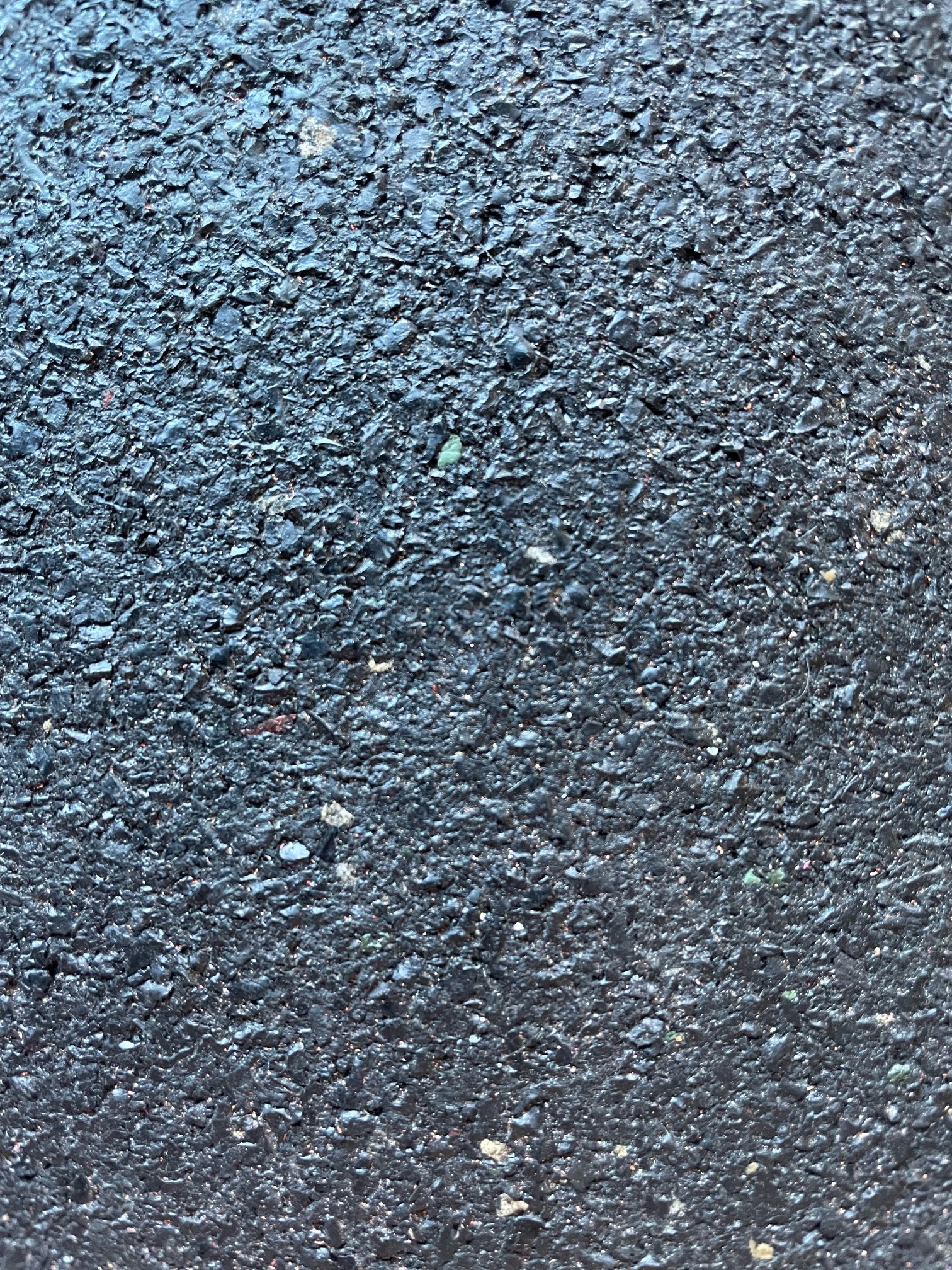 image1 (8).jpeg