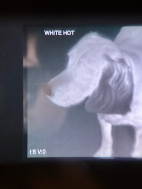 image10.jpeg
