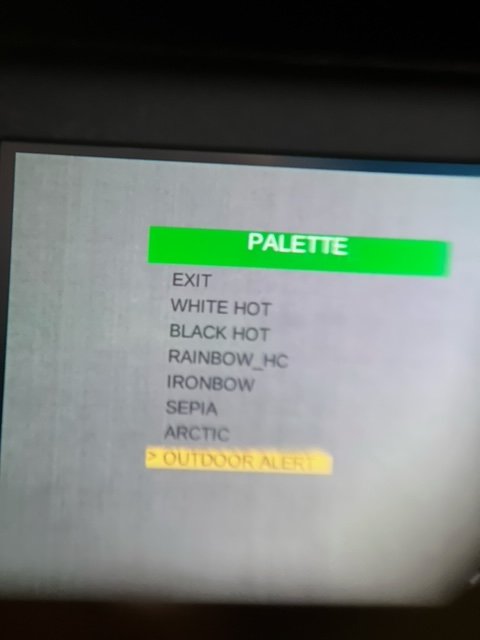 image11.jpeg