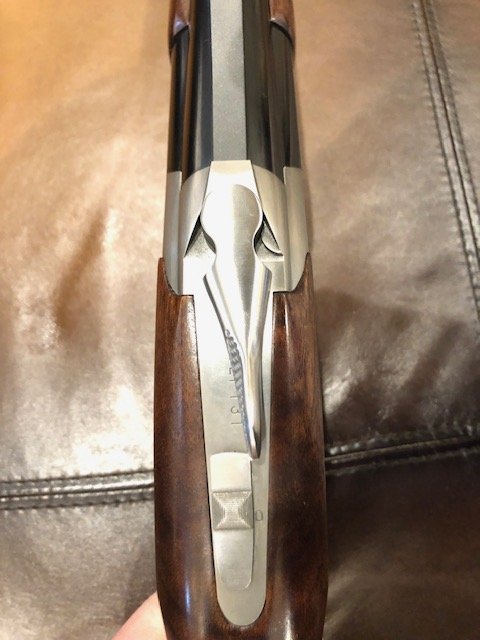 image16.jpeg