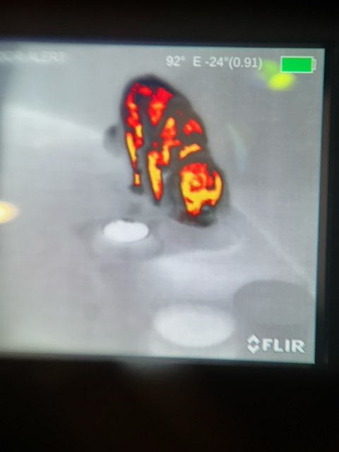 image9.jpeg