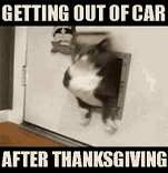 imagegif_0.gif