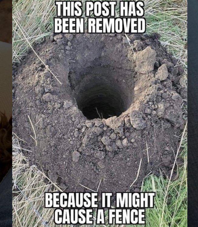 imageproxy.php.jpeg