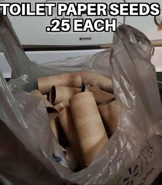 images (11).jpeg
