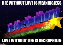 images (17).jpeg