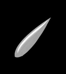 images-2.jpeg