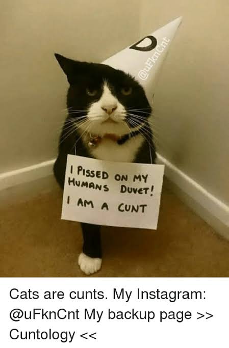 images (29).jpeg