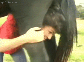 imagespeek-a-boo.gif