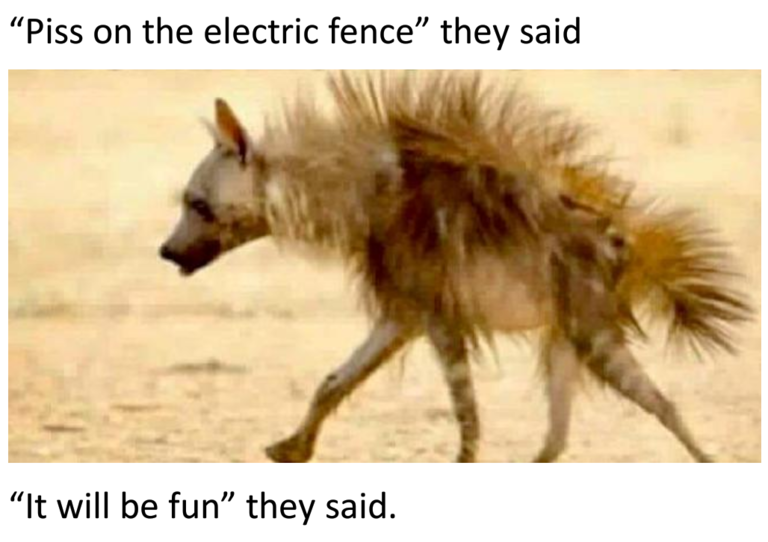imdhjg.png