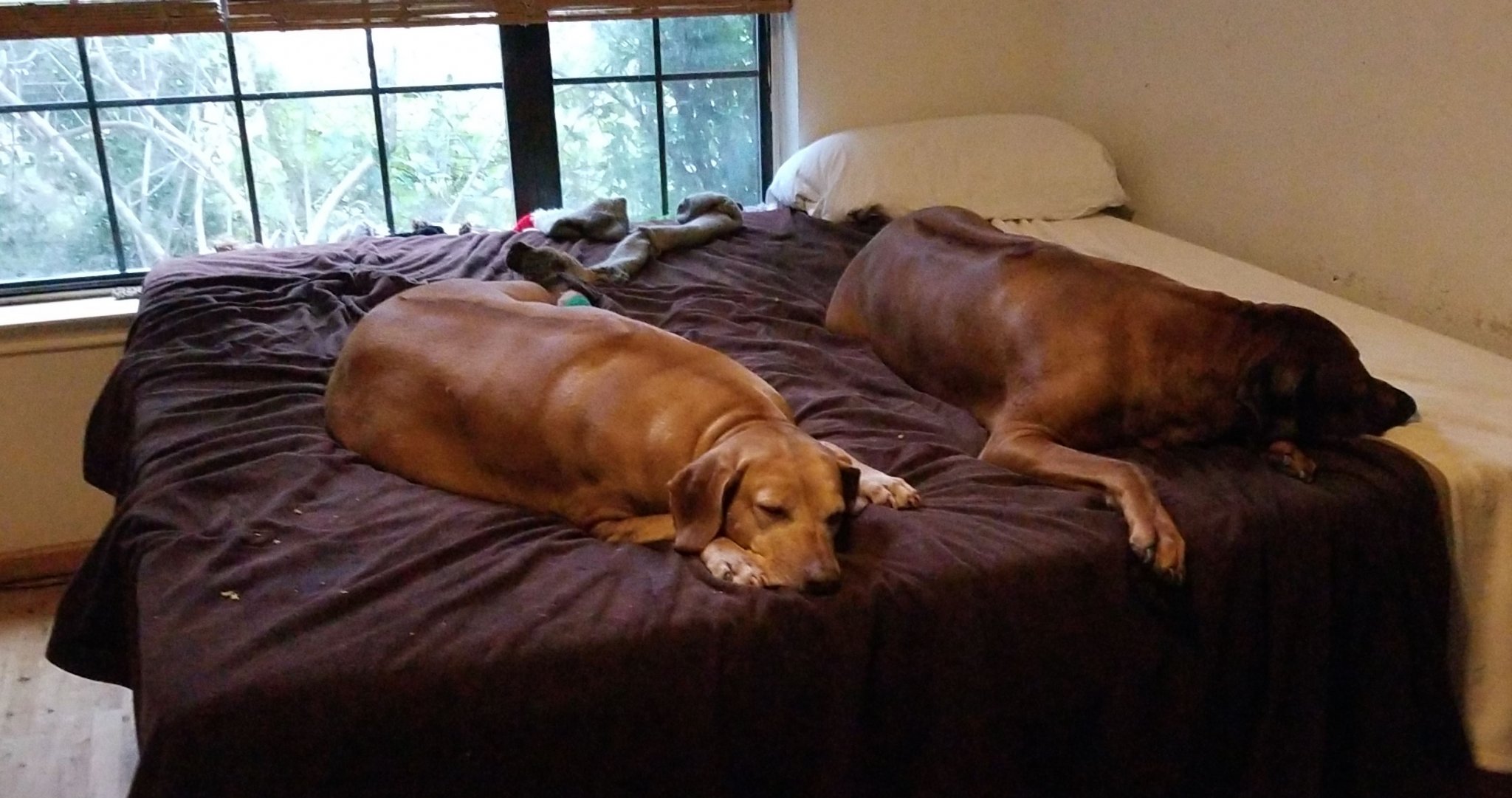 IMG-20181122-WA0003.jpeg