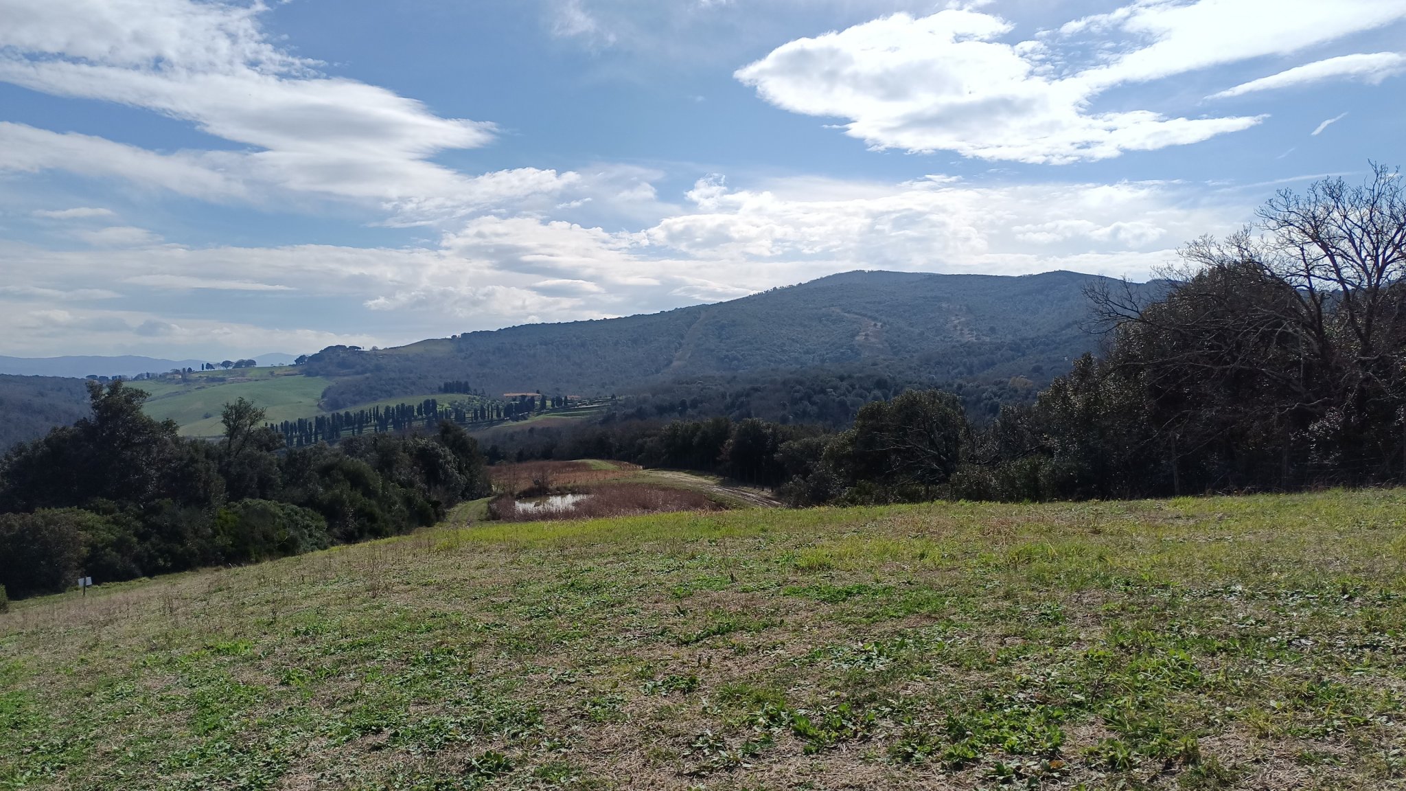 IMG-20230302-WA0021.jpeg