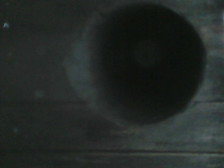 IMG110101-001020F.JPG