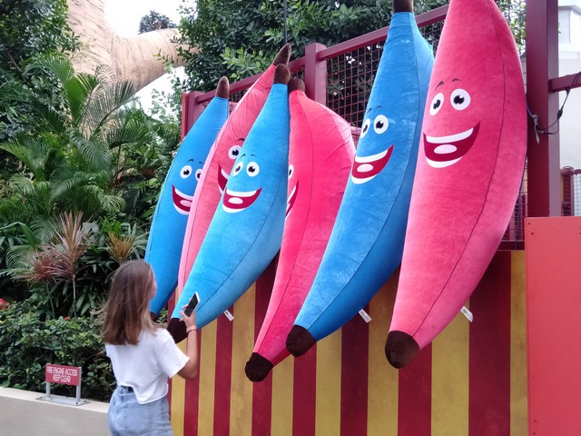 IMG20191021142617.jpg