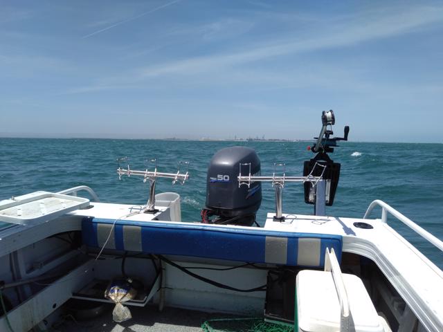 IMG20191206122521.jpg