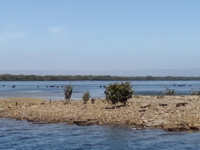 IMG20191206151011.jpg