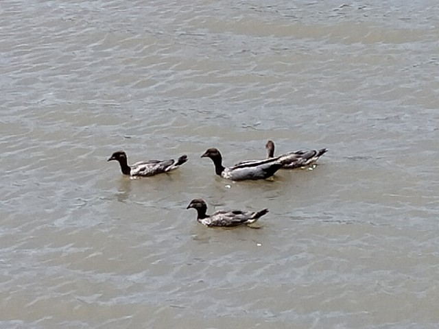 IMG20201123115031.jpg