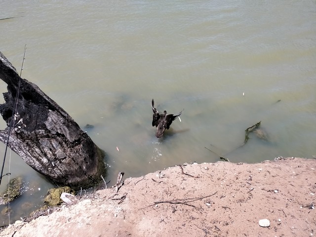 IMG20201123121759.jpg