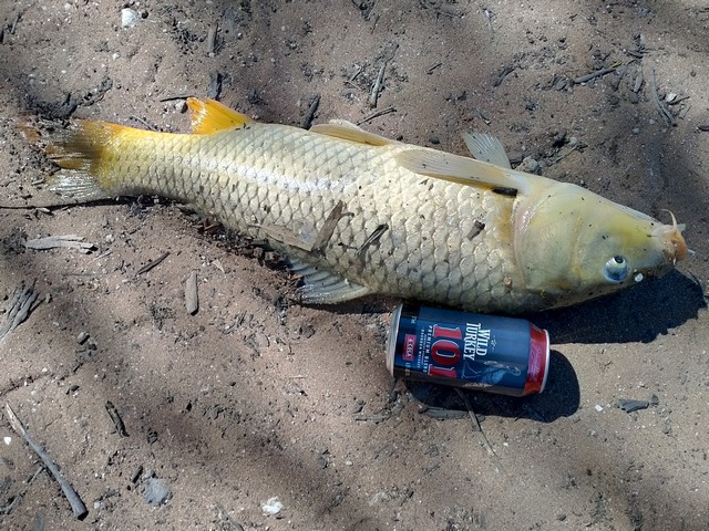 IMG20201123153632.jpg