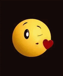 IMG_0008.gif