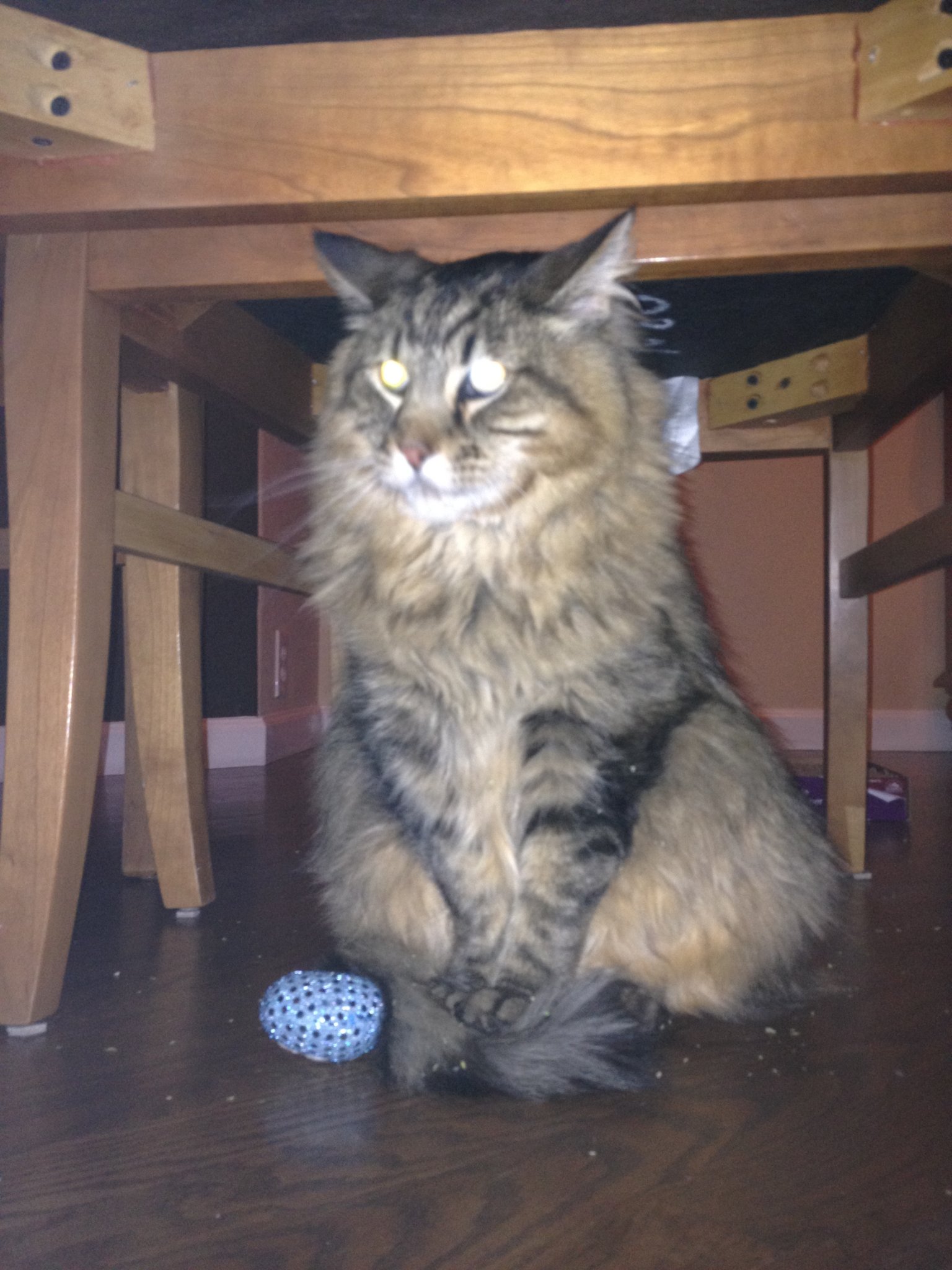 IMG_0238.jpeg