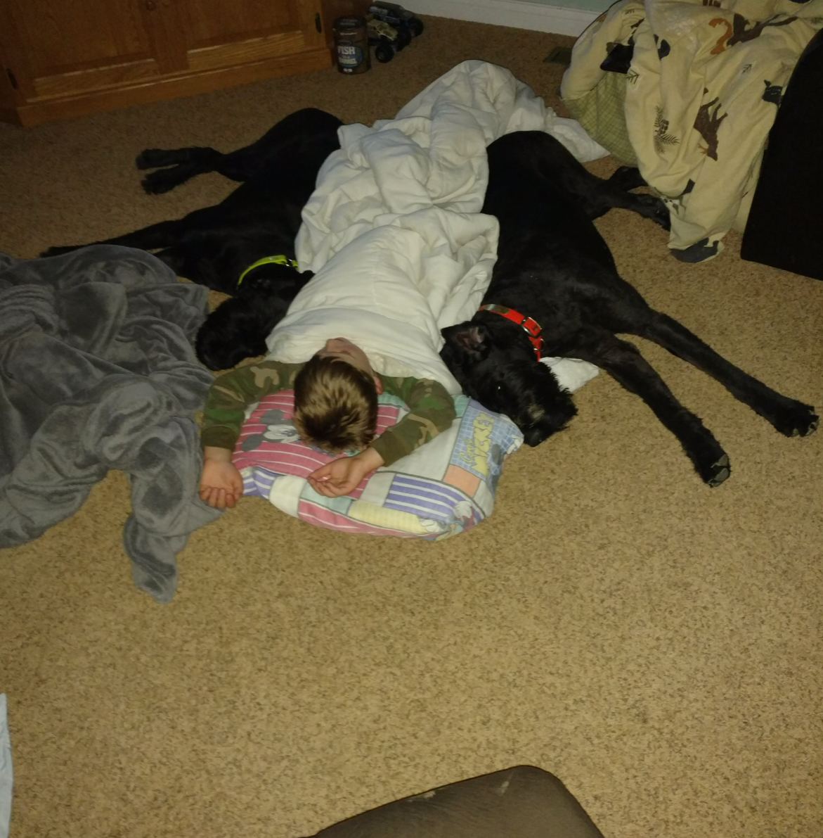 IMG_0320.jpeg