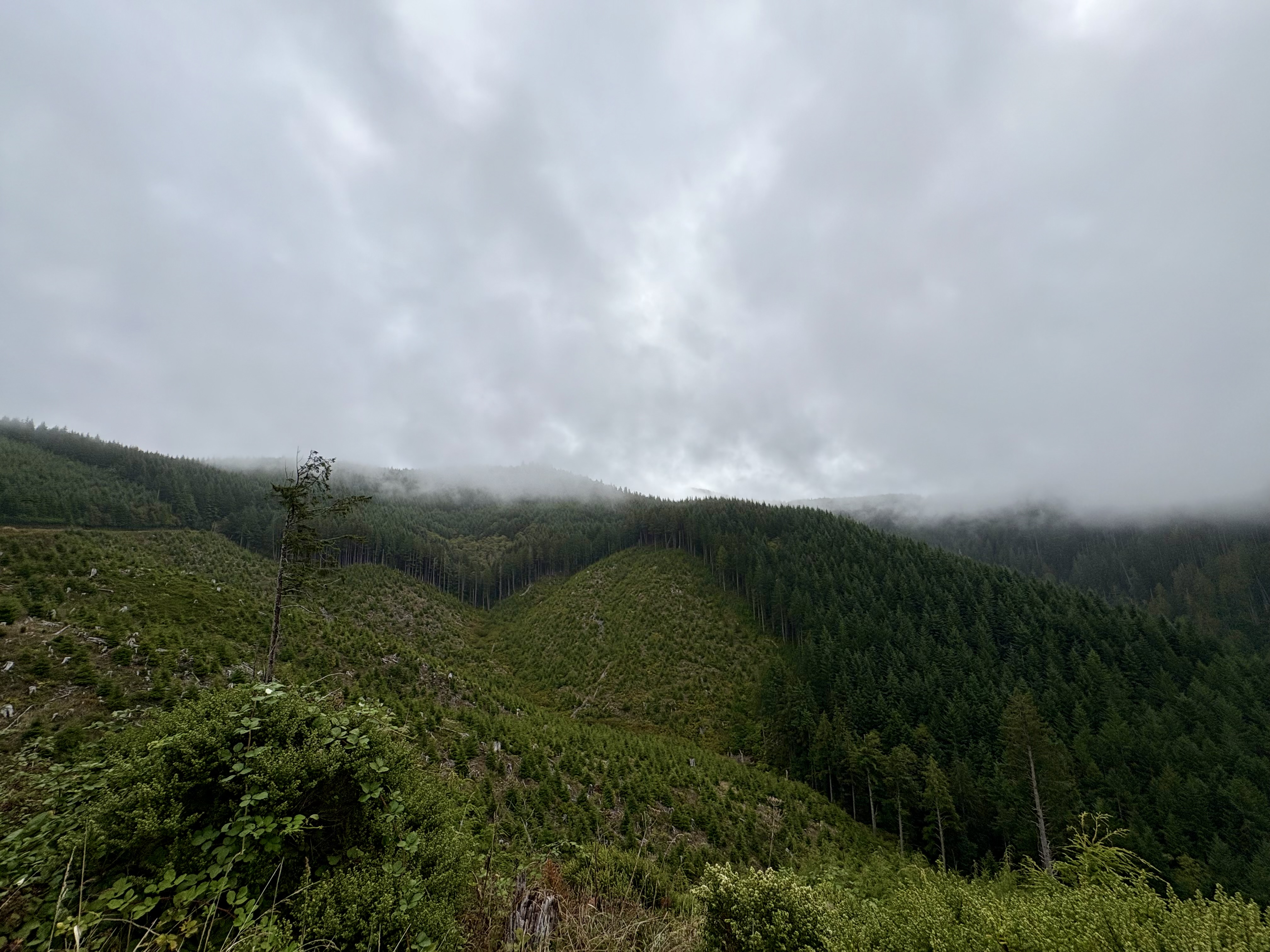 IMG_0322.jpeg