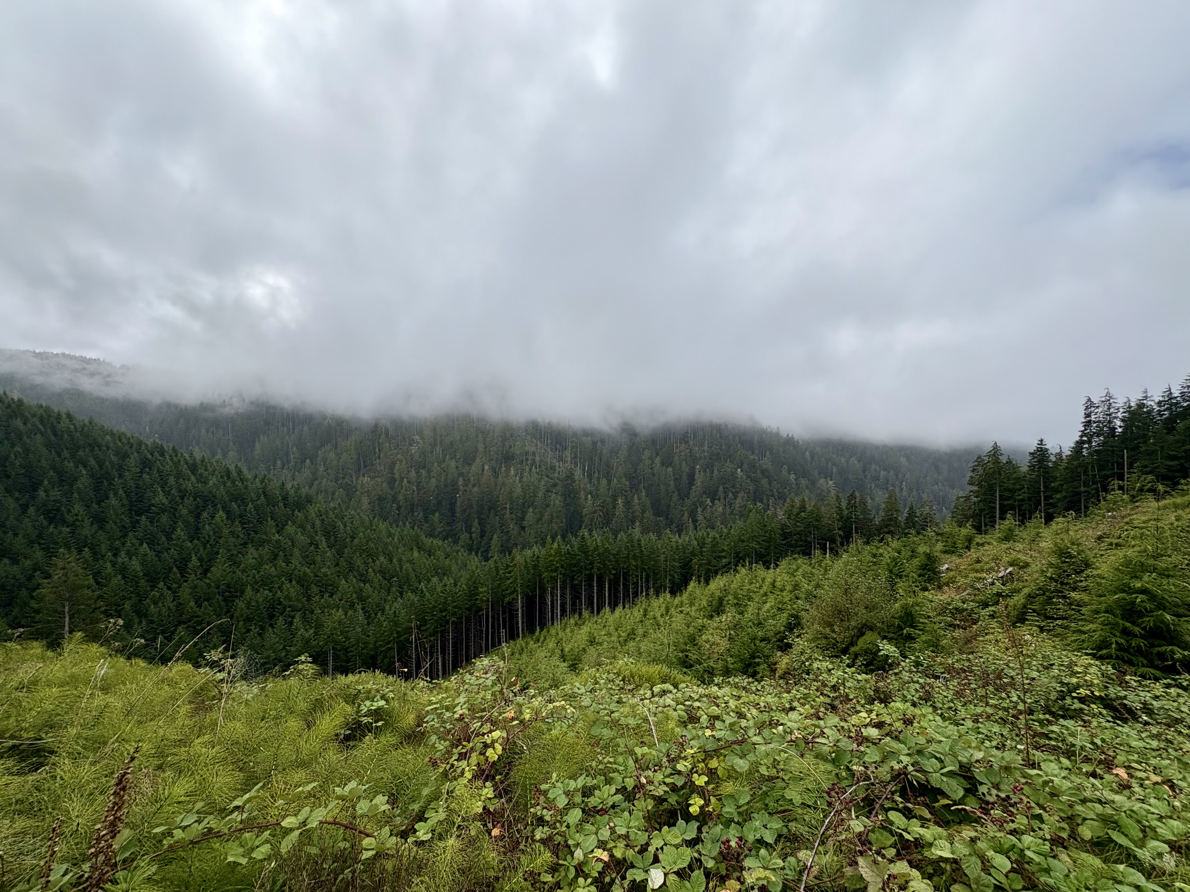 IMG_0323.jpeg