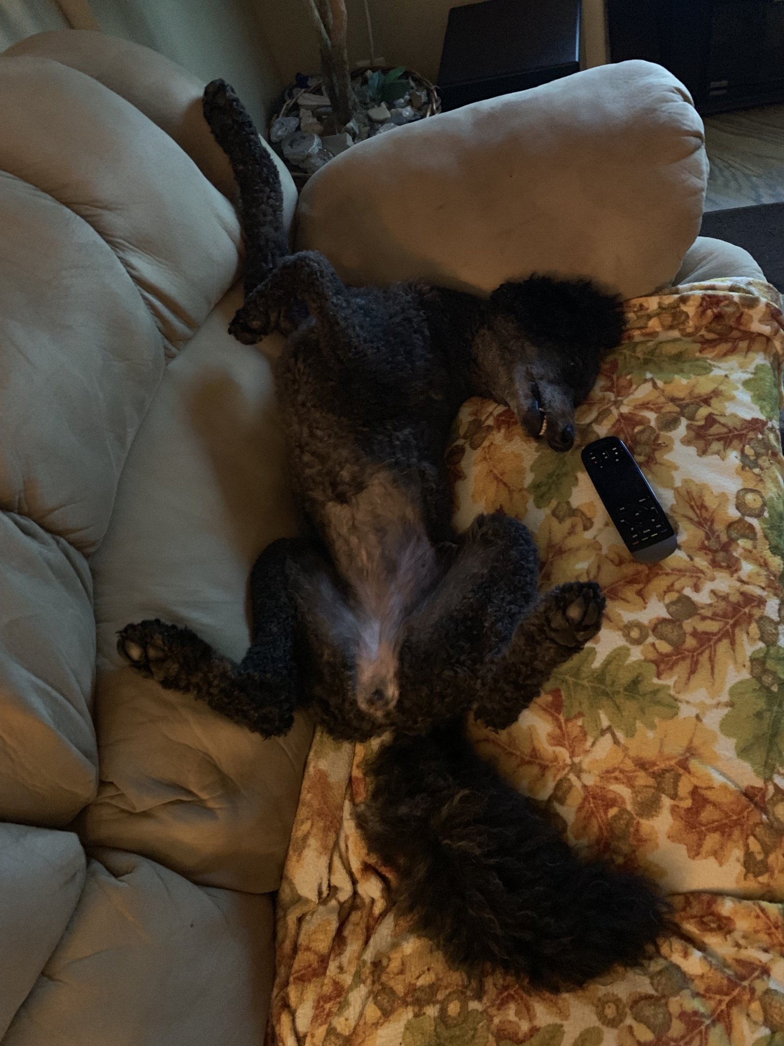 IMG_0336.jpeg