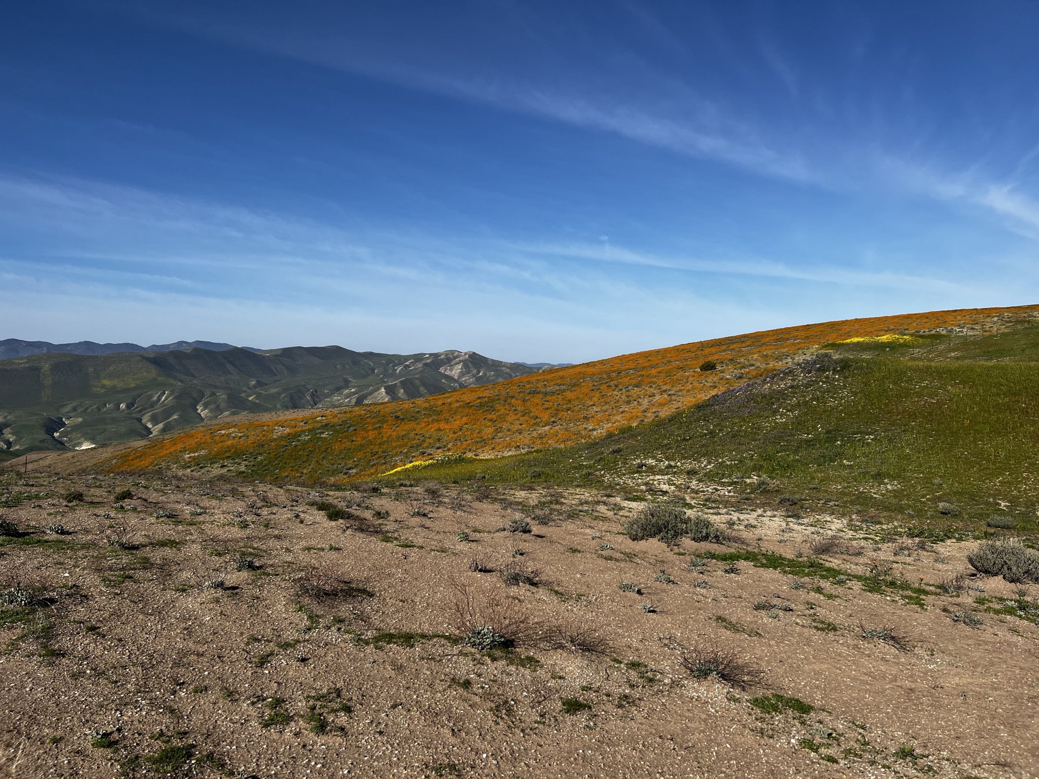 IMG_0433 copy.jpg