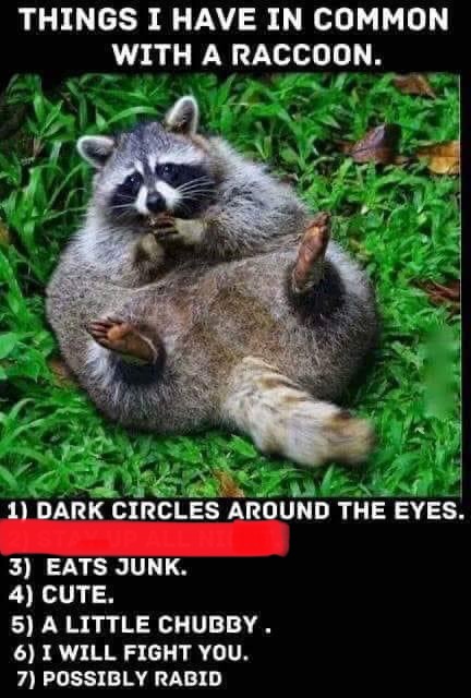 IMG_0671.jpeg