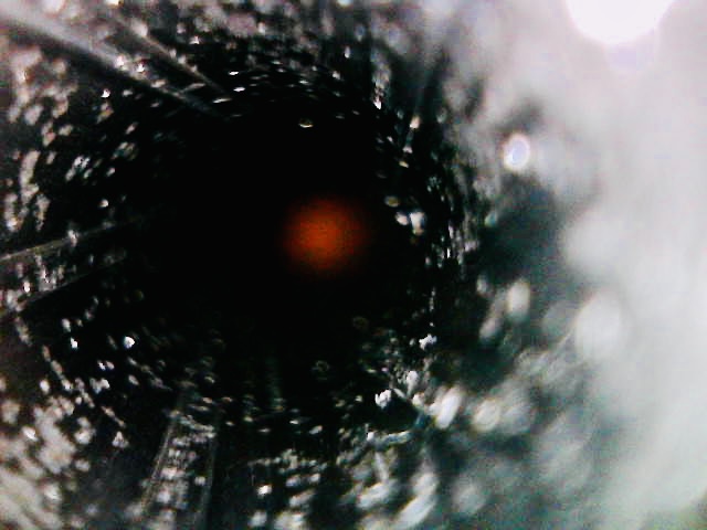 IMG_0681.jpeg