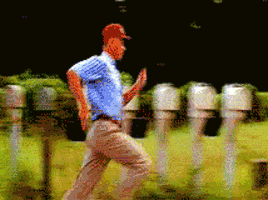 IMG_0713.gif