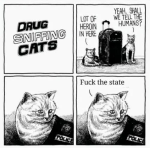 IMG_0790.jpeg